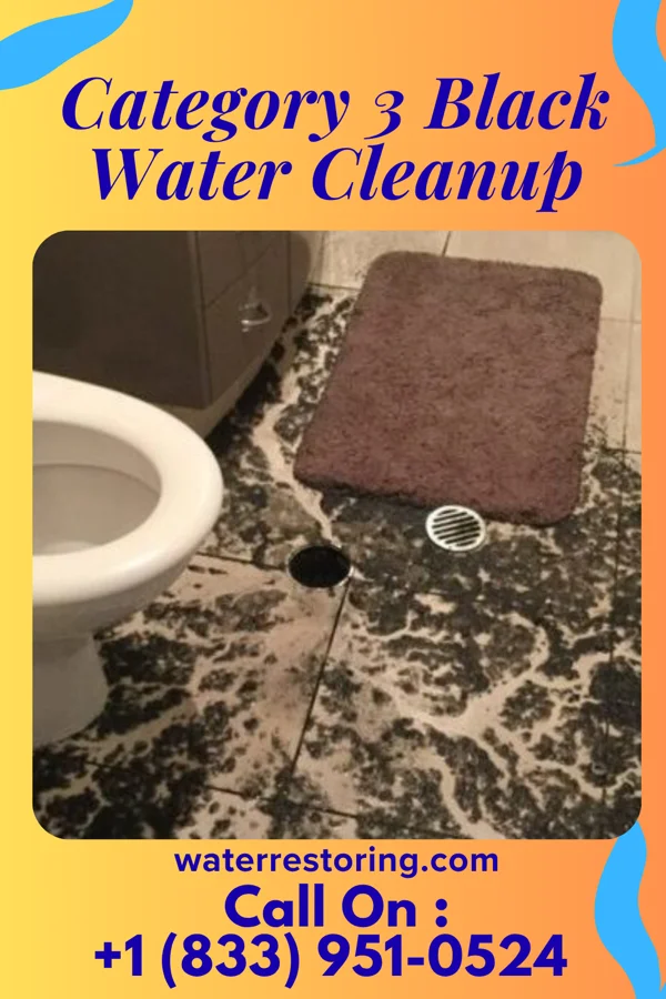Category 3 Black Water Cleanup in Teays Valley, WV