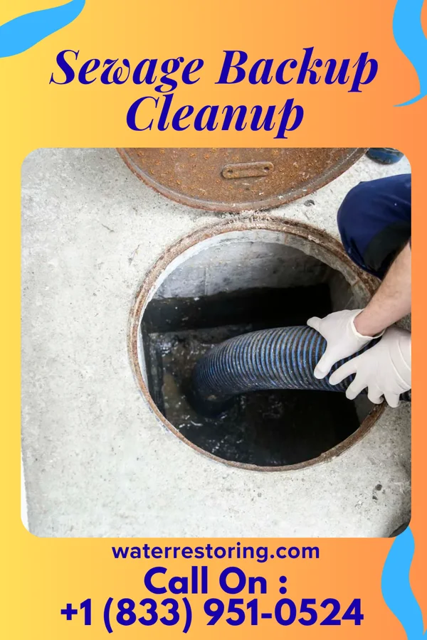 Sewage Backup Cleanup in Teays Valley, WV