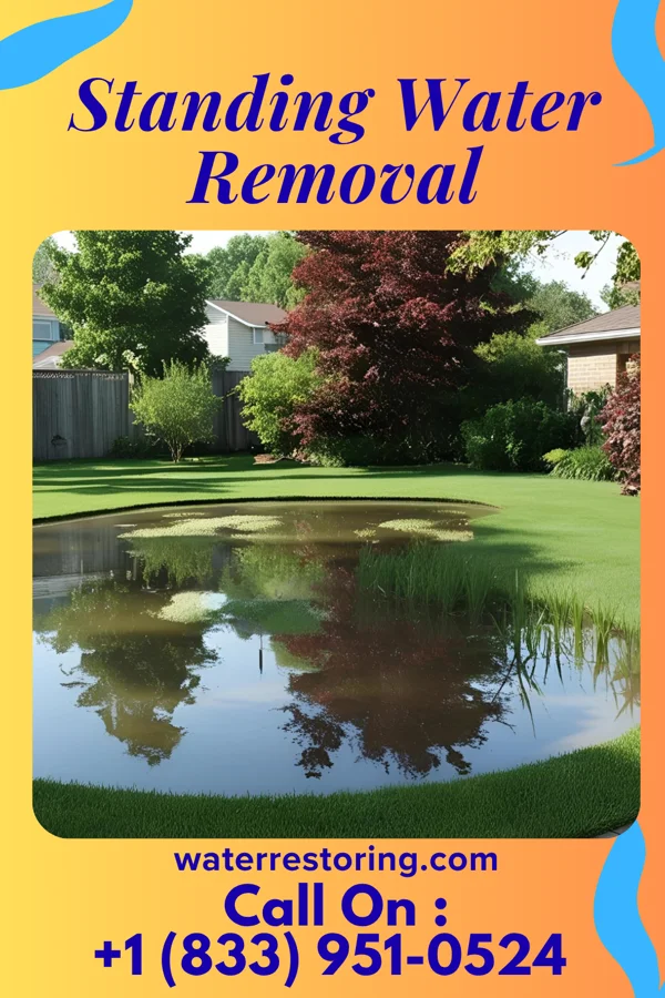 Standing Water Removal in Teays Valley, WV